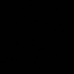 Meet your Posher, Carmen